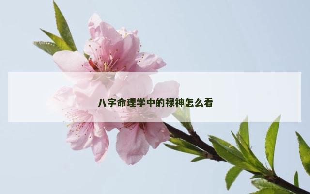 八字命理学中的禄神怎么看