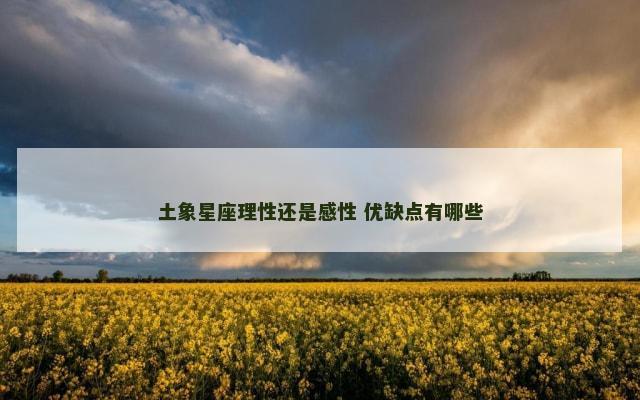 土象星座理性还是感性 优缺点有哪些