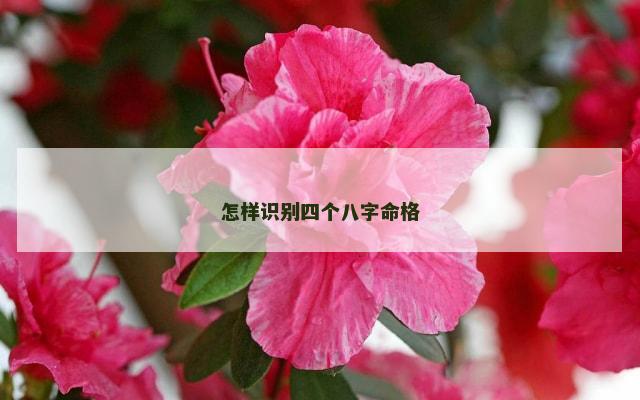 怎样识别四个八字命格
