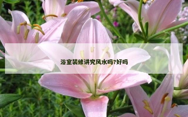 浴室装修讲究风水吗?好吗