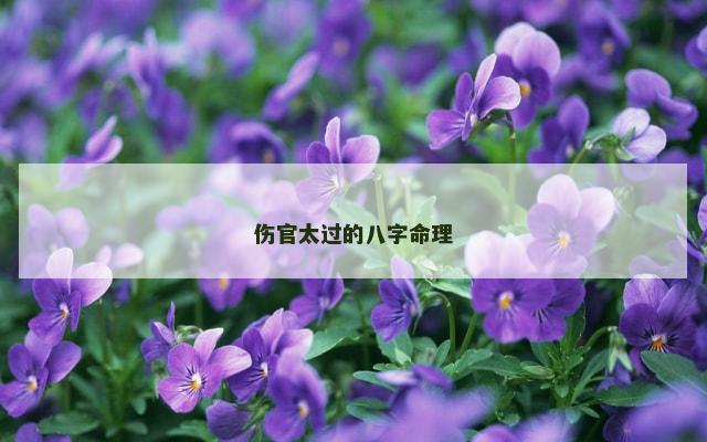 伤官太过的八字命理