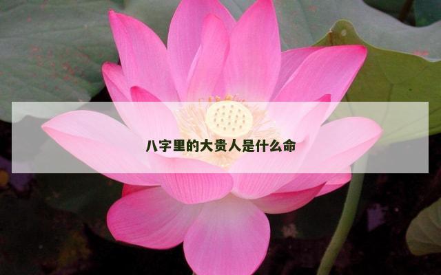 八字里的大贵人是什么命