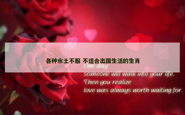 各种水土不服 不适合出国生活的生肖