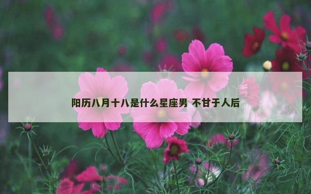 阳历八月十八是什么星座男 不甘于人后