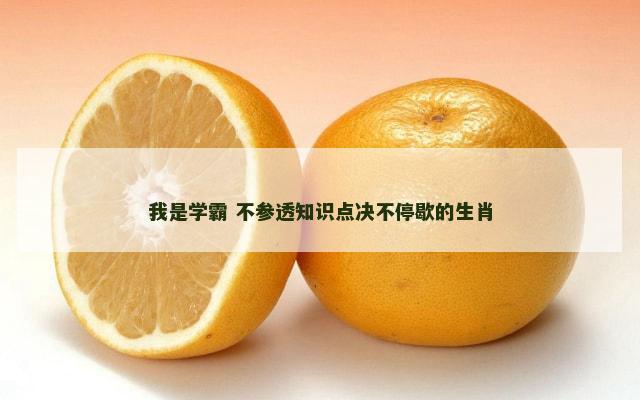 我是学霸 不参透知识点决不停歇的生肖