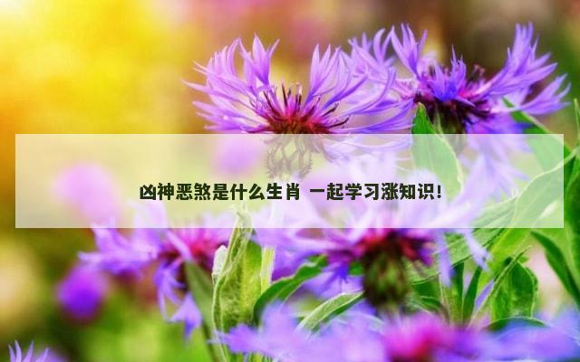 凶神恶煞是什么生肖 一起学习涨知识！