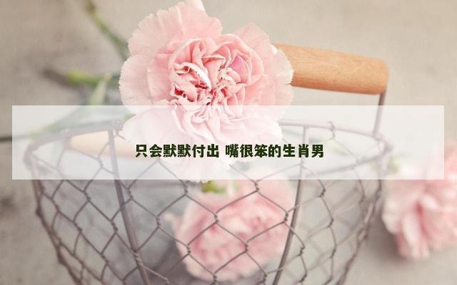 只会默默付出 嘴很笨的生肖男
