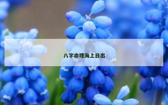 八字命理海上日出