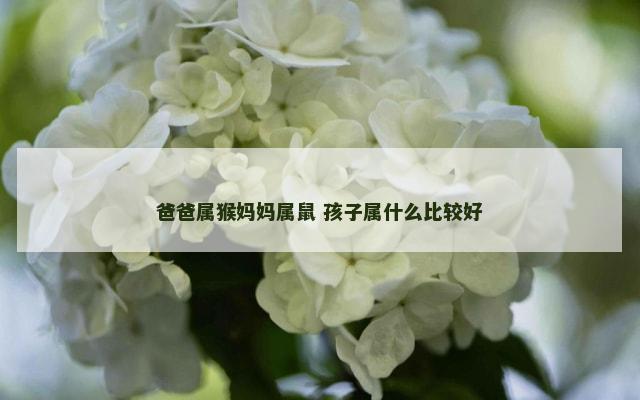 爸爸属猴妈妈属鼠 孩子属什么比较好