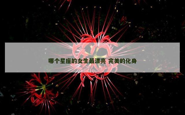 哪个星座的女生最漂亮 完美的化身