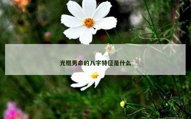 光棍男命的八字特征是什么