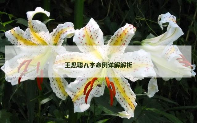 王思聪八字命例详解解析