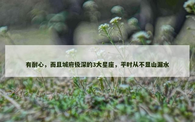 有耐心，而且城府极深的3大星座，平时从不显山漏水