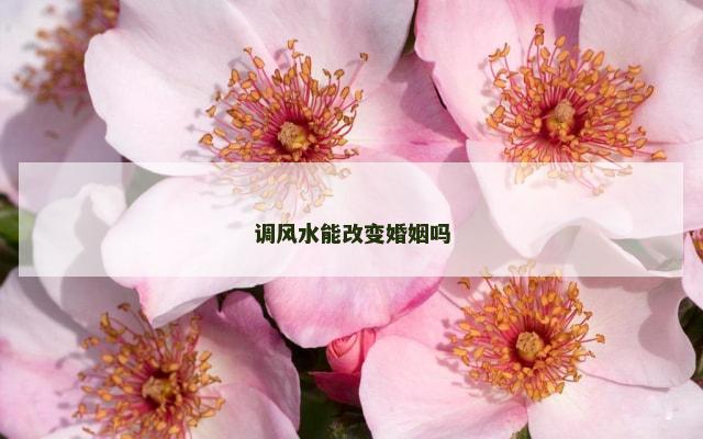调风水能改变婚姻吗