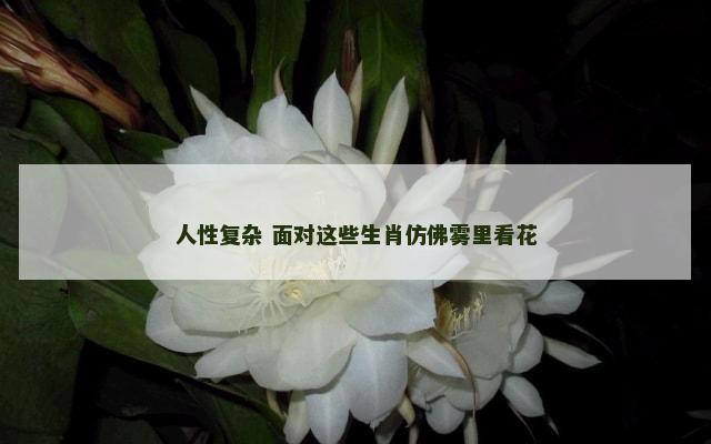 人性复杂 面对这些生肖仿佛雾里看花