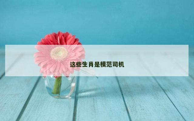 这些生肖是模范司机