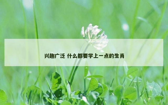 兴趣广泛 什么都要学上一点的生肖