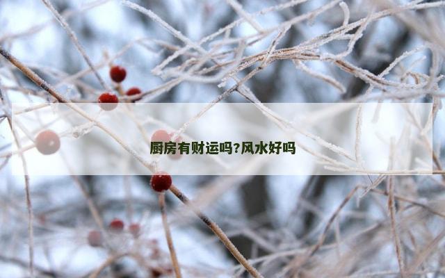 厨房有财运吗?风水好吗