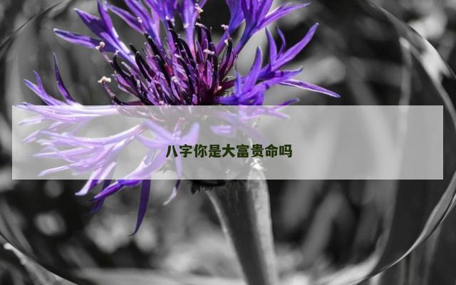 八字你是大富贵命吗