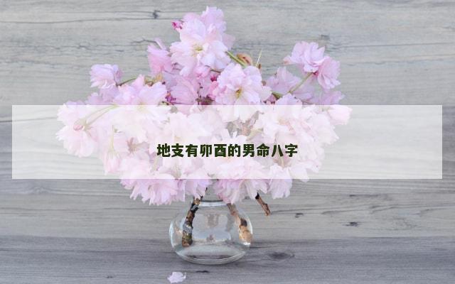 地支有卯酉的男命八字