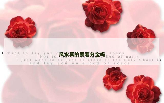 风水真的要看分金吗