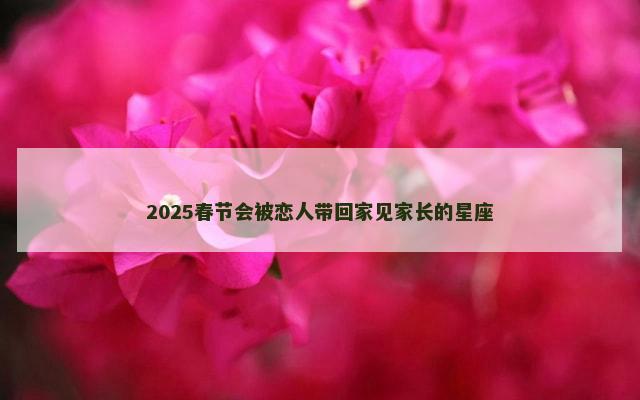 2025春节会被恋人带回家见家长的星座