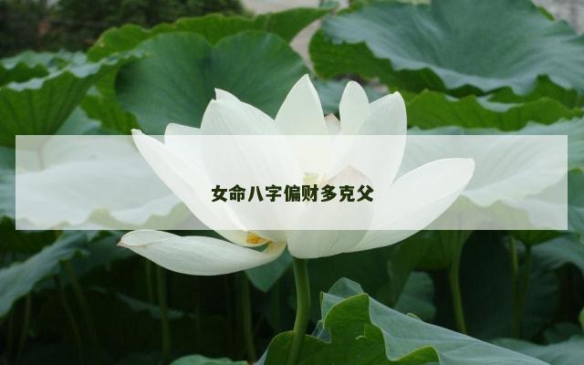 女命八字偏财多克父