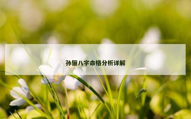 孙俪八字命格分析详解