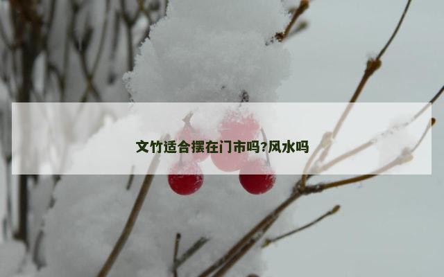 文竹适合摆在门市吗?风水吗