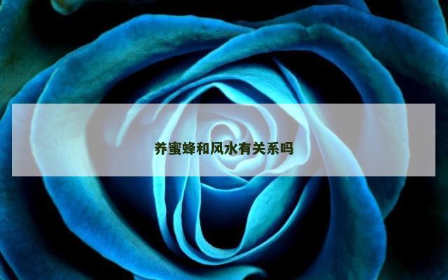 养蜜蜂和风水有关系吗