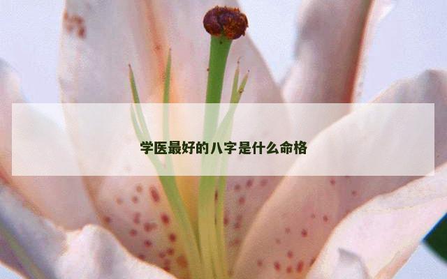 学医最好的八字是什么命格