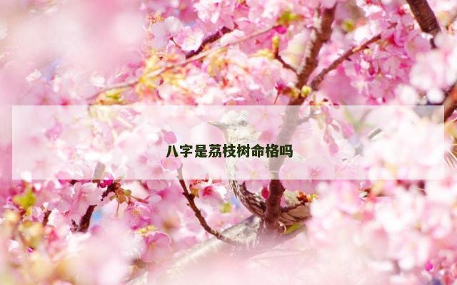 八字是荔枝树命格吗