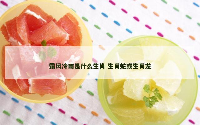 霜风冷雨是什么生肖 生肖蛇或生肖龙