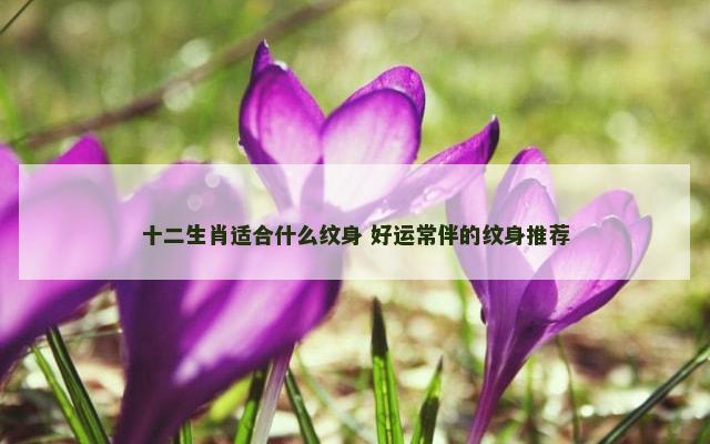十二生肖适合什么纹身 好运常伴的纹身推荐