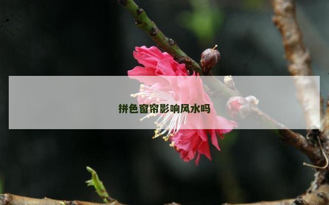 拼色窗帘影响风水吗
