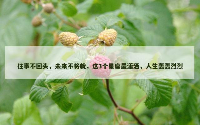 往事不回头，未来不将就，这3个星座最潇洒，人生轰轰烈烈