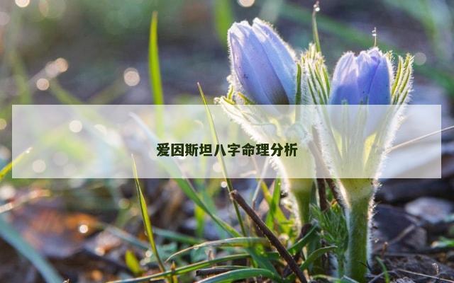 爱因斯坦八字命理分析