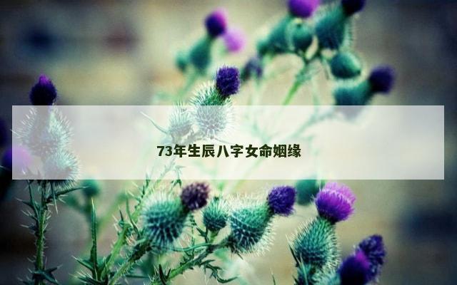 73年生辰八字女命姻缘