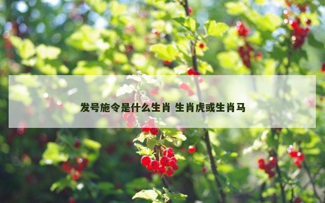 发号施令是什么生肖 生肖虎或生肖马