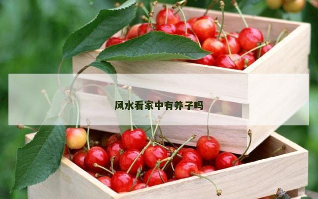 风水看家中有养子吗