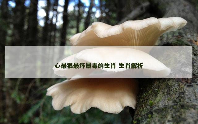 心最狠最坏最毒的生肖 生肖解析
