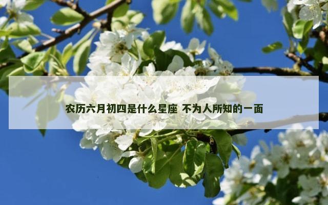 农历六月初四是什么星座 不为人所知的一面