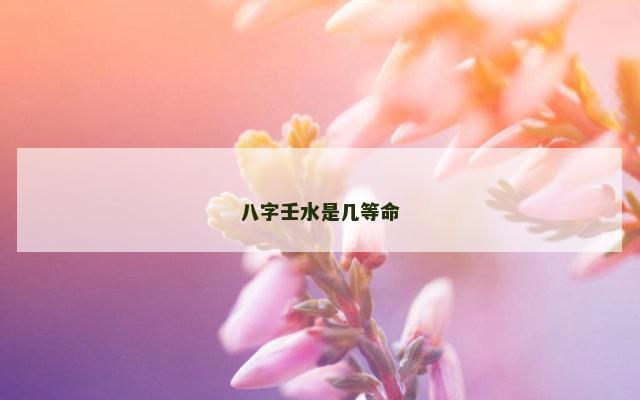 八字壬水是几等命