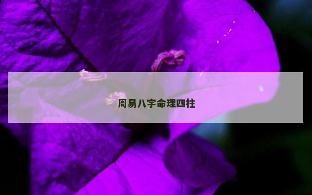 周易八字命理四柱