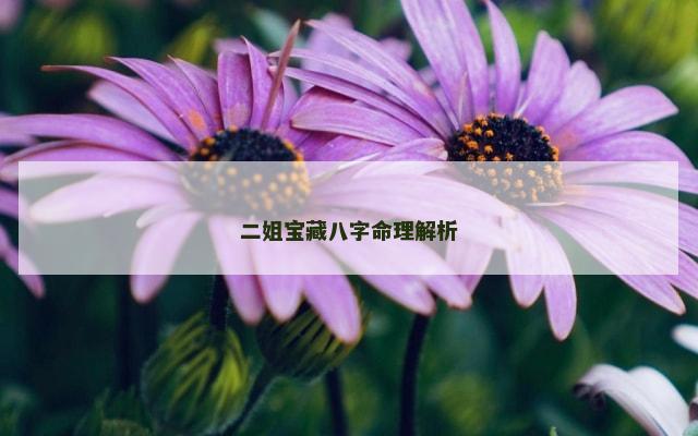 二姐宝藏八字命理解析