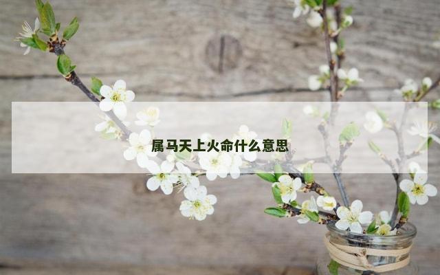 属马天上火命什么意思