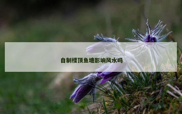 自制楼顶鱼塘影响风水吗
