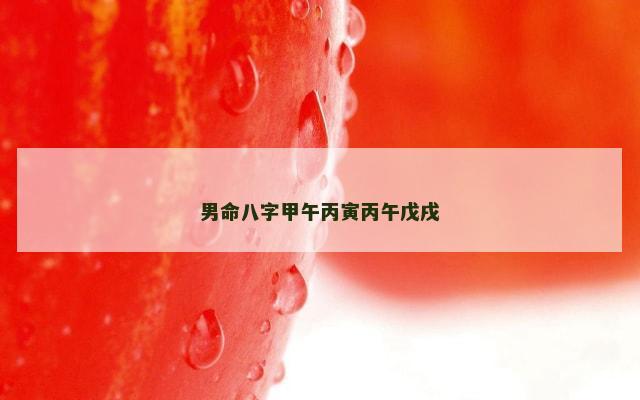 男命八字甲午丙寅丙午戊戌