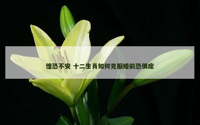 惶恐不安 十二生肖如何克服婚前恐惧症