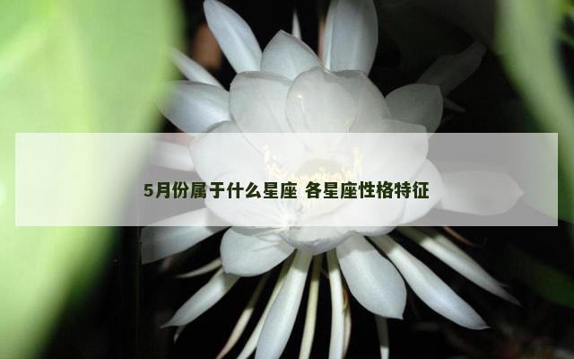 5月份属于什么星座 各星座性格特征